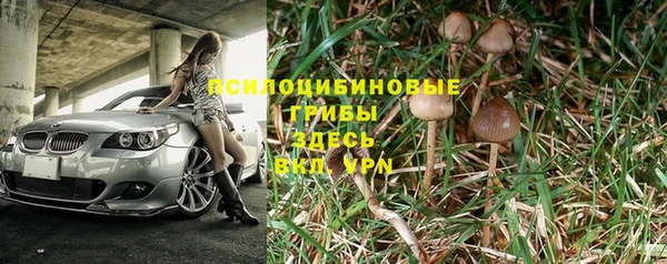 марки nbome Алзамай