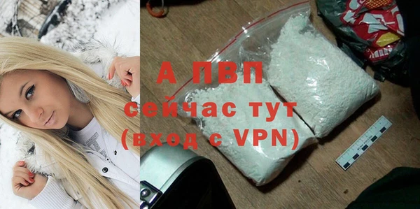ешки Алексин