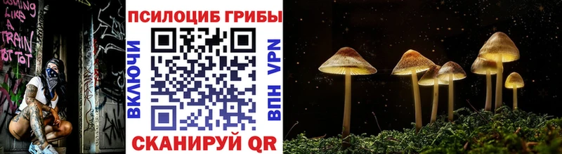 дарнет шоп Собинка omg сайт Псилоцибиновые грибы мицелий